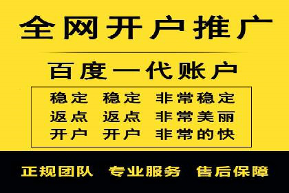 某公司通过百度竞价实现业务快速增长的案例