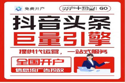 某电商平台的SEM广告投放策略及效果评估
